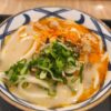 青い模様の器に入ったうどんに刻みねぎと肉をのせた一杯
