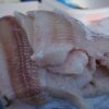 真鱈のような白身魚の切り身